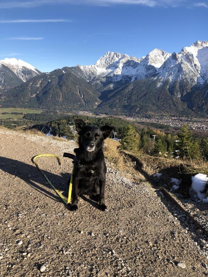 Ferienwohnung Anette Garmisch-Partenkirchen Dış mekan fotoğraf